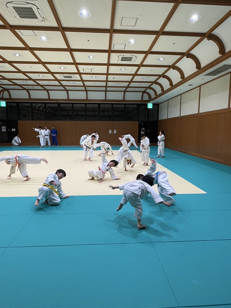 画像の説明 画像の説明