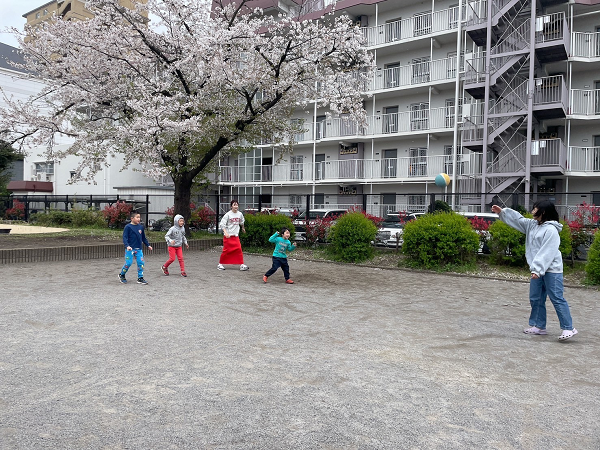 画像の説明 画像の説明