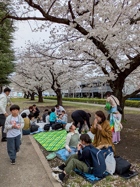 画像の説明 画像の説明